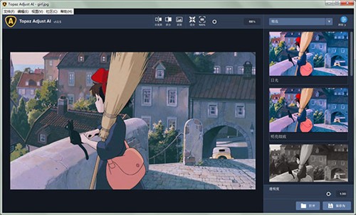 Topaz Adjust AI����������