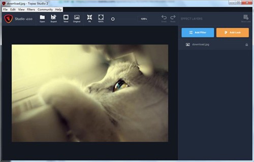 Topaz Studio��ɫ������