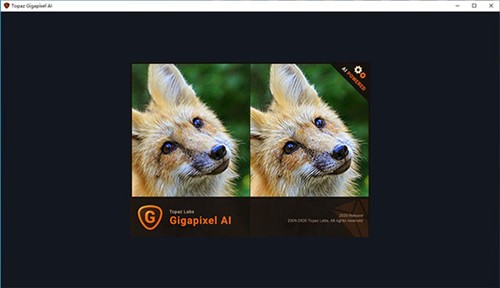 Topaz Gigapixel AI5����