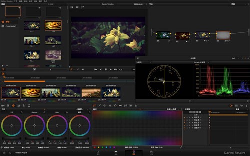 DaVinci Resolve����