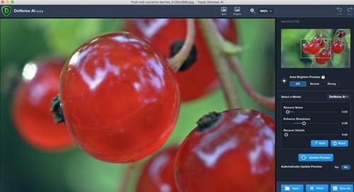 Topaz DeNoise AI 3 mac绿色版