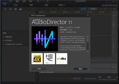 AudioDirector��ɫ������