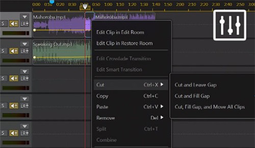 AudioDirector��Ƶ�༭��