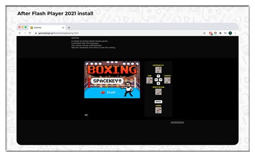 chrome flash�������