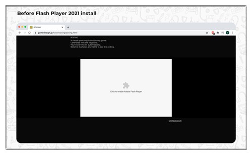 chrome flash�������