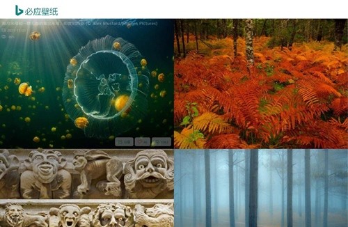 必应壁纸官方下载