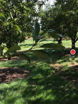 cameraapp����