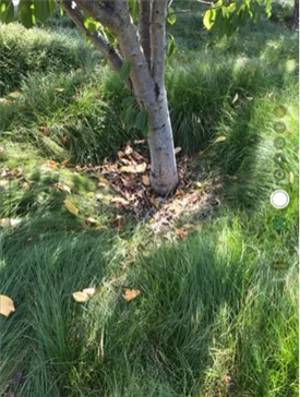 cameraapp����