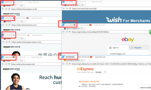 紫鸟浏览器官方下载