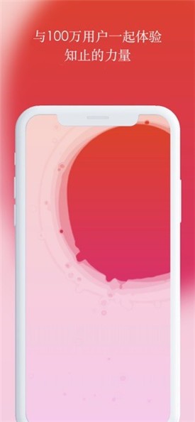 pauseapp����