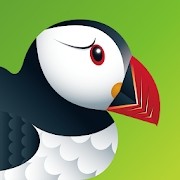 puffin