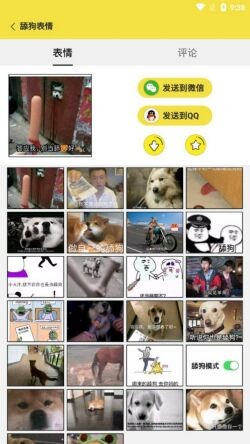 ������������app����