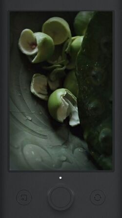 inch�������