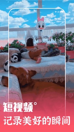 ϲˢˢapp����