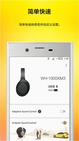 headphones����