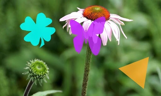 ��Ƶ����appƻ����