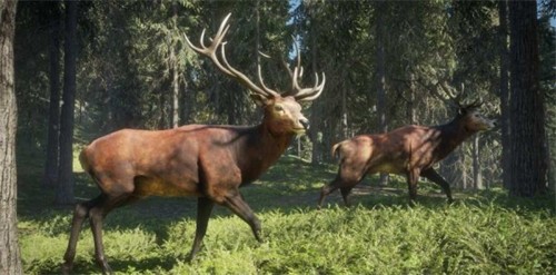 ��Ұ���ٻ��ֻ����������