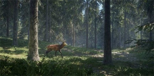 ��Ұ���ٻ��ֻ����������