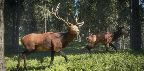 ��Ұ���ٻ��ֻ����������