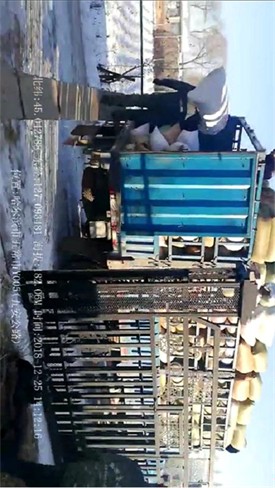 ����ϸ��app����