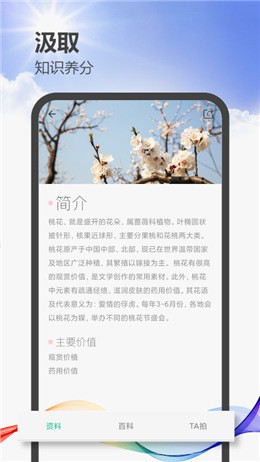 今天拍照识图了吗黑科技软件下载