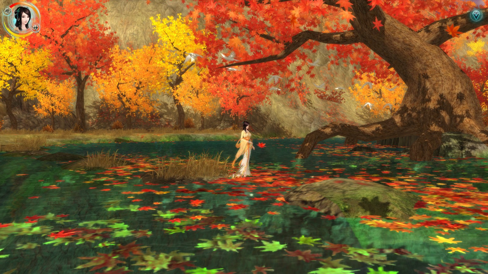 �ɽ�������5������ɫ�����޽������