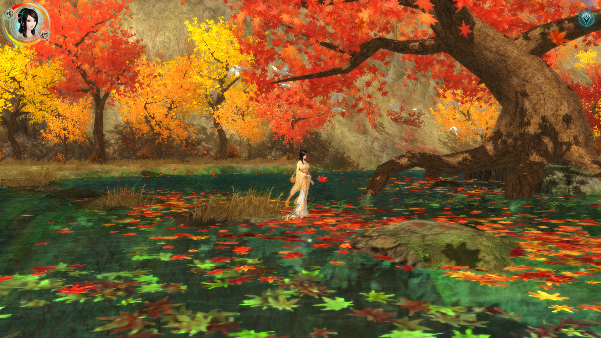 �ɽ��������������޸İ������ڹ�����