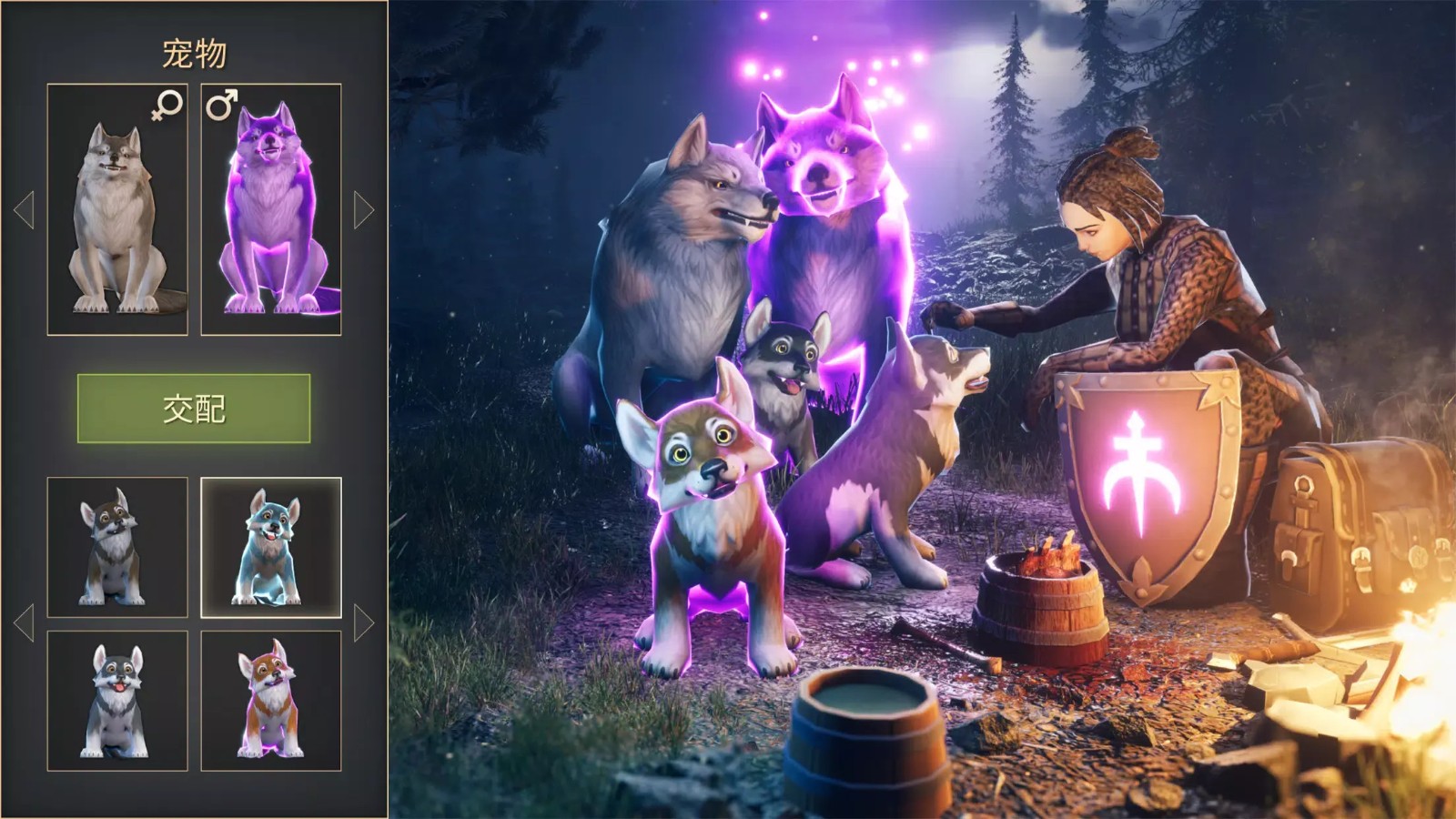 �ڰ������������İ��������