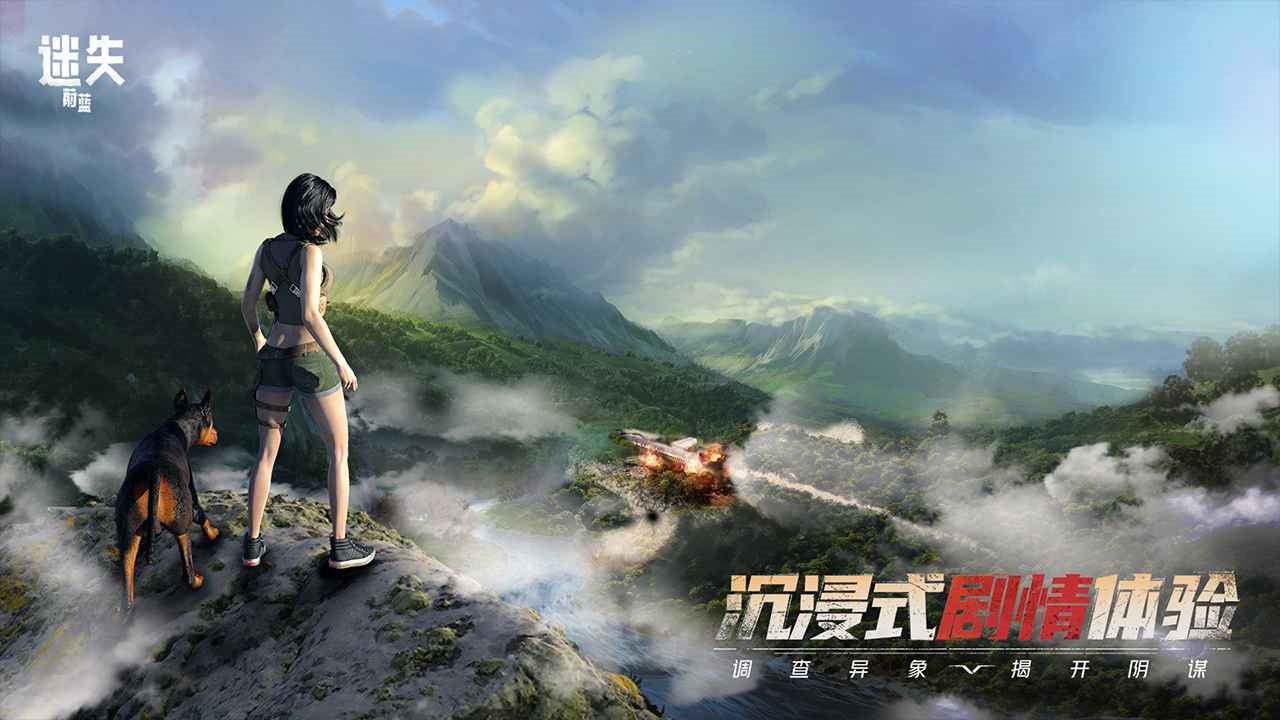 ��ʧε����������