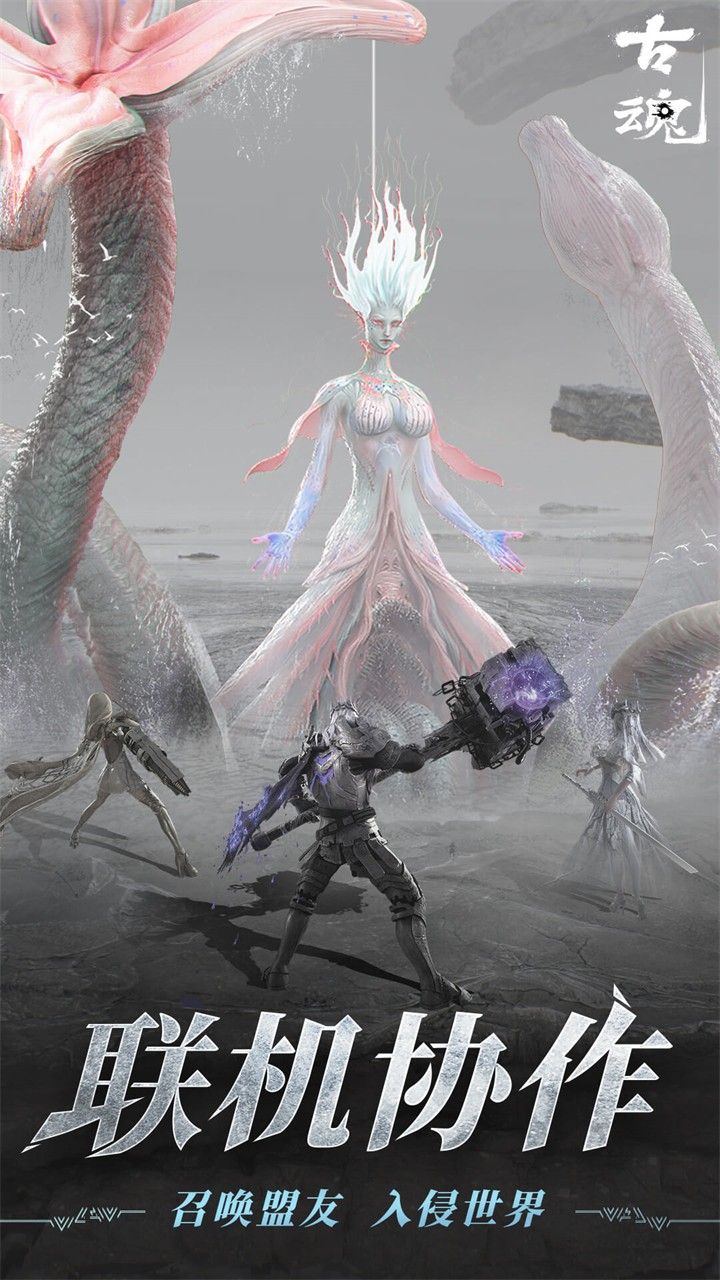 �Ż�-��֮��2