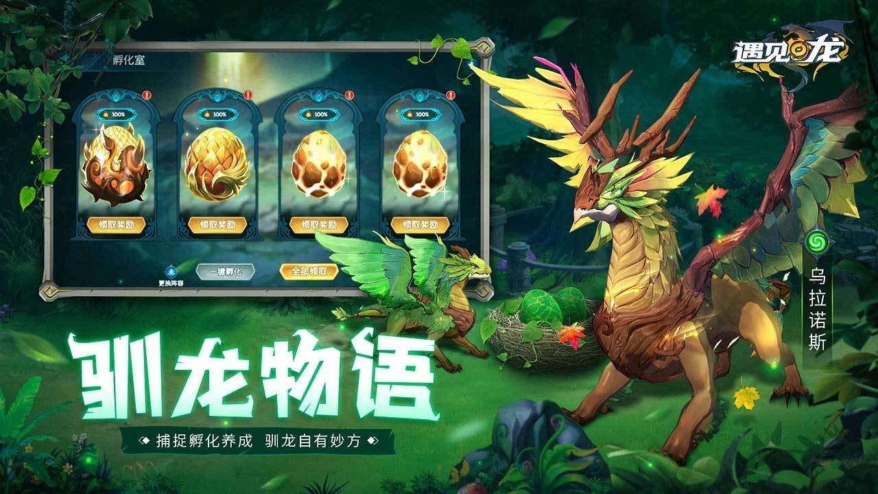 ��������ɫ��������ʯ