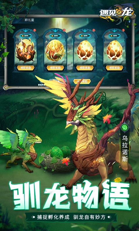 ������ƻ��������