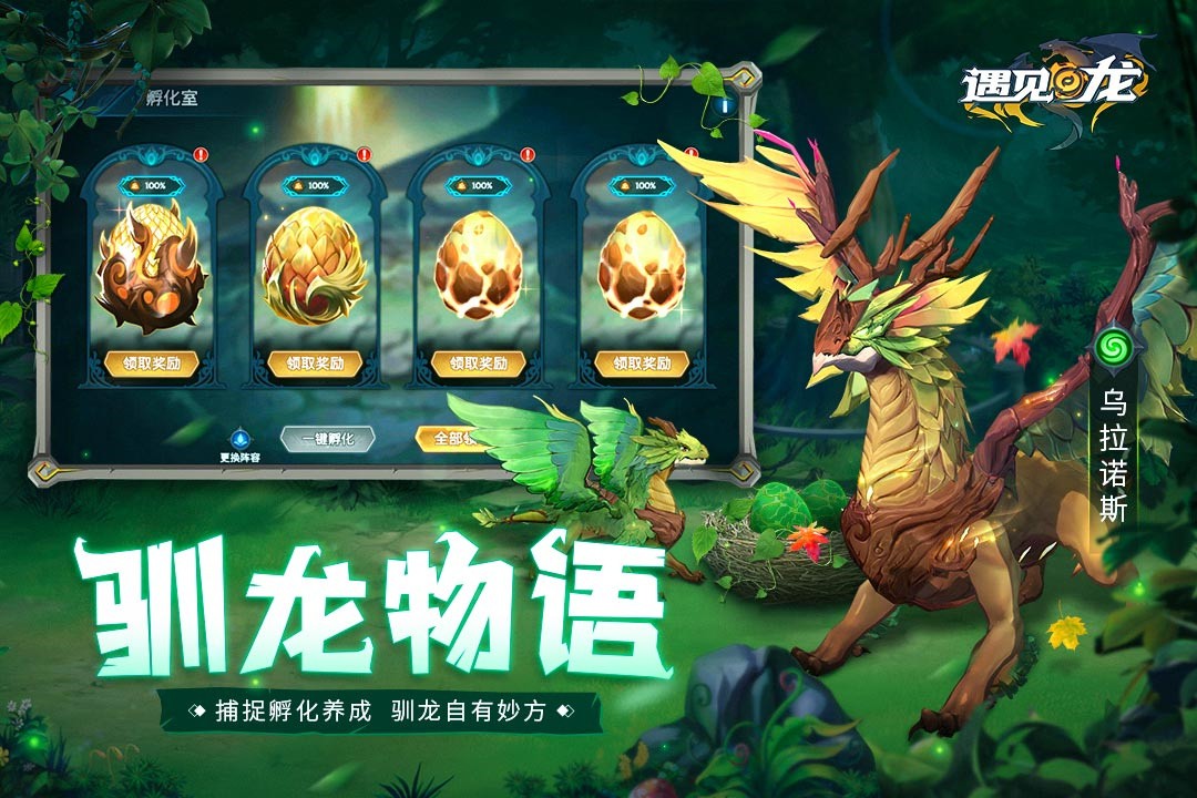 �������������°�����