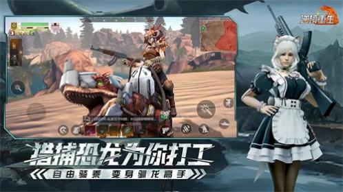 �澳����������