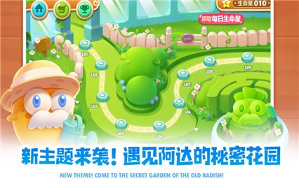 �����ܲ�2��ɫ�����޽��������ʯ