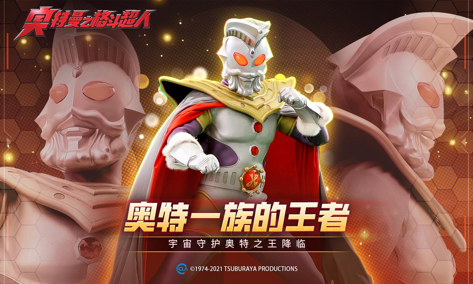 �������񶷳���2024��ѳ�ֵ������