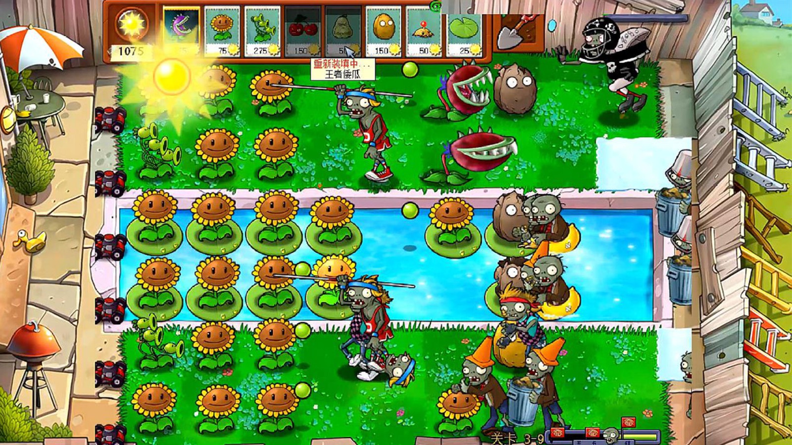 pvz����bw��