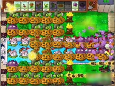 ֲ���ս��ʬ�޾����ֻ��������