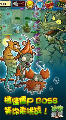 ֲ���ս��ʬ�������ڹ���������ʯ������