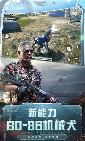 ��ƽ��Ӣ�������������ٷ�