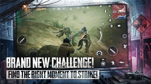 pupg���ʷ����������