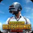 pubg国际服手游中文版