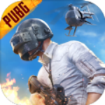 pubg正式服下载