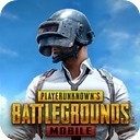 pubg体验服下载安装