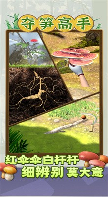 ���������Ϸ����