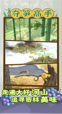 ���������Ϸ����