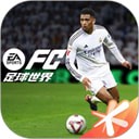 fc足球世界比赛服
