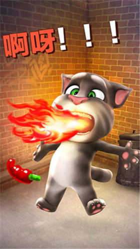 ��˵������ķè��Ѱ����ذ�װ�ڹ���