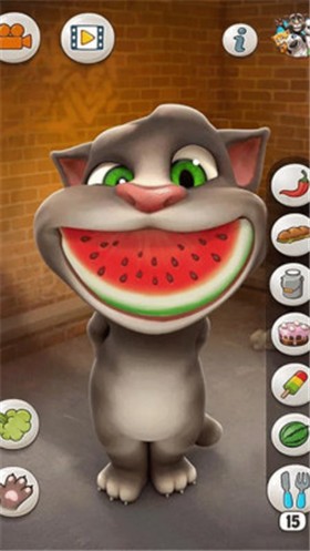 ��˵������ķè��Ѱ����ذ�װ��ɫ��