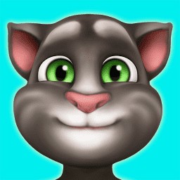 我的汤姆猫999999无限金币钻石版